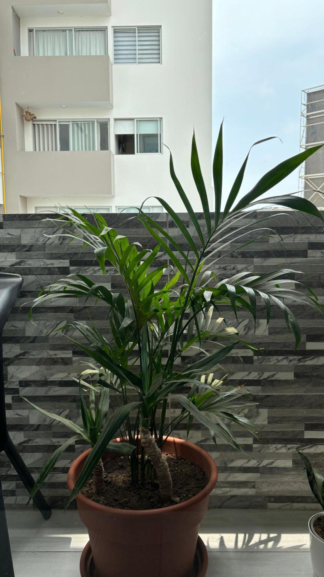 Departamento En Miraflores Con Surquillo Ліма Екстер'єр фото